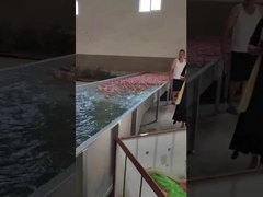 Φρούτα που καθαρίζουν και που επιλέγουν τη μηχανή