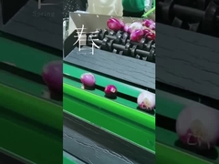 Φρούτα που καθαρίζουν και που επιλέγουν τη μηχανή