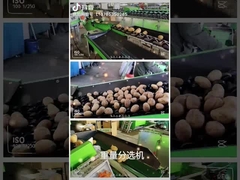 ταξινόμησης μηχανή πλύσης φρούτων και