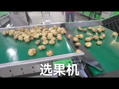 Προσαρμόστε το γκρέιντερ λαχανικών φρούτων