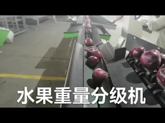 Ο αυτόματος ηλεκτρονικός διαλογέας φρούτων και ζυγίζει τη μηχανή