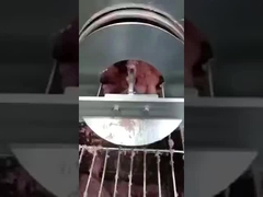 Τραπέζι διαχωρισμού οστών ιχθύων PU, ιμάντα διαχωρισμού απομάκρυνσης οστών, ιμάντα μεταφοράς