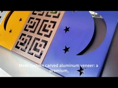 Προσαρμοσμένο μοναδικό γλυπτό αλουμίνιο φινέρι για σύγχρονα αρχιτεκτονικά έργα